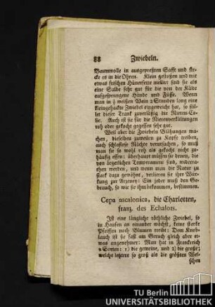 Cepa ascalonica, die Charlotten, franz. des Echalots.
