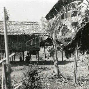 Akyab, Burma. Anwesen mit Stelzenhaus aus Palmblattmatten und Anbaufläche mit Bananenstauden