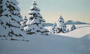 Tannen im Schnee