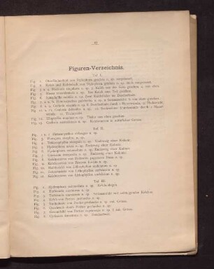 Figuren-Verzeichnis.