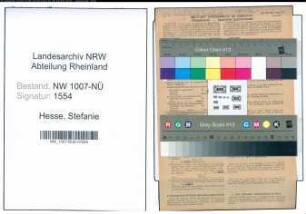 Entnazifizierung Stefanie Hesse , geb. 11.06.1889 (Lehrerin)