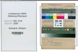 Entnazifizierung Wilhelm Schwenk , geb. 08.01.1905 (Ingenieur)