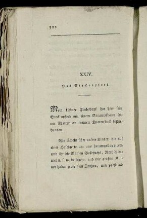 XXIV. Das Steckenpferd.