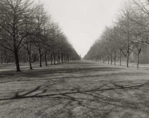 Dresden-Altstadt. Großer Garten (1683, J. F. Karcher; 1873-1895, K. F. Bouché). Herkulesallee
