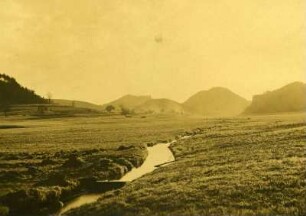 Bei Rinnthal. Panorama, gelbstichig