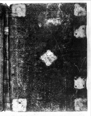 Graduale; ex ecclesia S. Egidii in Niederseon - BSB Clm 17701