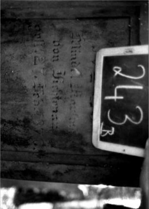 Grabstein 243 (Index: 100112124) Material: Sandstein Zustand: verwittert Maße HxBxT: 158x50x40 cm Beschreibung: rechteckige Stele, profilierter Sockel, Schriftfelder eingetieft: Grabstein 243B