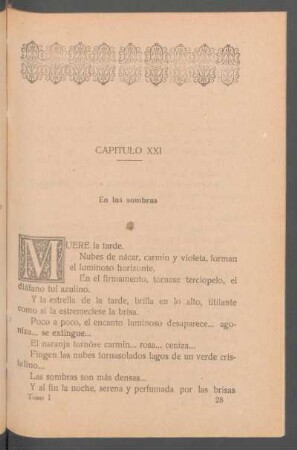 Capítulo XXI - En las sombras
