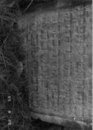 Grabstein 366 (Index: 100107826) Material: hellgelber Sandstein Zustand: stark verwittert, eingesunken, angeschlagen, teilweiser Textverlust Maße HxBxT: 72x58x12 cm Beschreibung: Stele mit geschwungenem Bogenabschluß, Schriftfeld eingetieft: Grabstein 366A