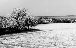 Wermsdorf-Mahlis. Blick vom Windmühlenberg