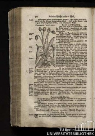 Cap. 151. Wasserwegerich, Plantago aquatica. Welsch Wegerich, Alisima.