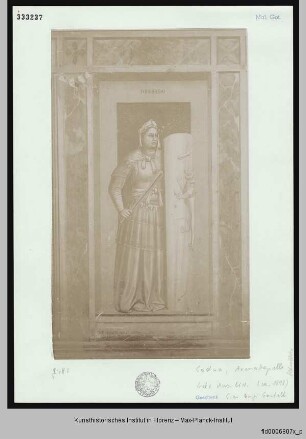 Tugenden und Laster : Fortitudo und Inconstantia : Fortitudo mit Löwenfell, Schlageisen u. Schild