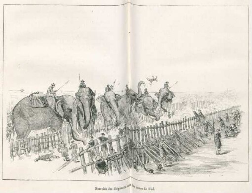 Exercice des éléphants sous des murs de Hué