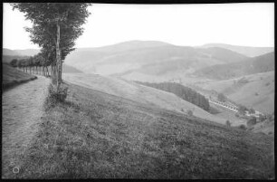 St. Andreasberg. Blick ins Siebertal