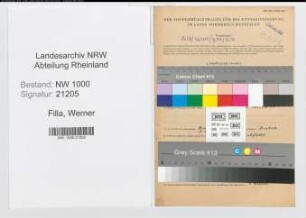 Entnazifizierung Werner Filla, geb. 28.04.1909 (Vertreter)