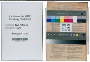 Entnazifizierung Carl Knietzsch , geb. 06.06.1893 (Bankkaufmann)