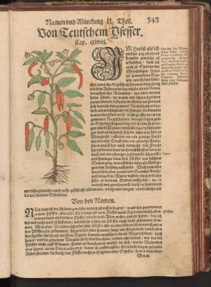 Von Teutschem Pfeffer, Cap. CXLVIII