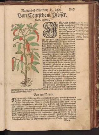 Von Teutschem Pfeffer, Cap. CXLVIII