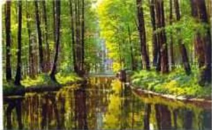 Ansicht aus dem Spreewald