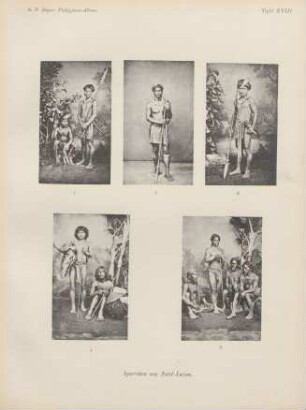 Tafel XVIII. Igorroten von Nor-Luzon