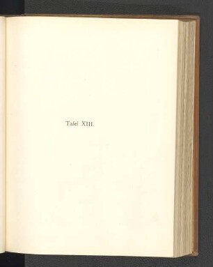 Tafeln XIII-XIV