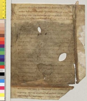 Commentum artis Donati - Studienbibliothek Dillingen XV Fragm. 17