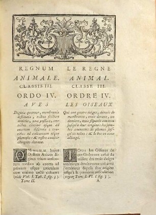 Ornithologie Ou Méthode Contenant La Division Des Oiseaux En Ordres, Sections, Genres, Especes & leurs Variétés : A Laquelle On A Joint Une Description exacte de chaque Espece, avec les Citations des Auteurs qui en ont traité ..., 2
