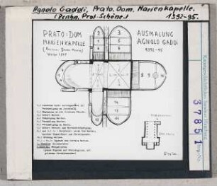 Agnolo Gaddi: Prato, Dom, Marienkapelle, Schema der Fresken