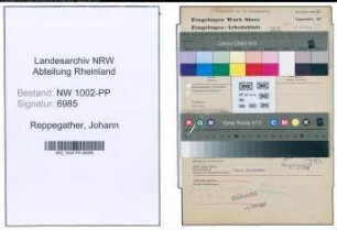 Entnazifizierung Johann Reppegather , geb. 10.10.1903 (Meister)