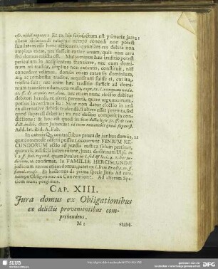 Cap. XIII. Iura domus ex Obligationibus ex delictis provenientibus comprehendens