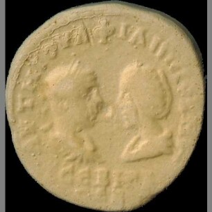 cn coin 8124 (Mesembria)