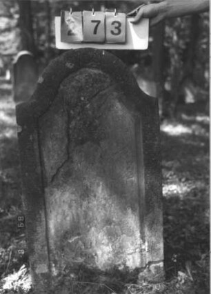 Grabstein 273 (Index: 99609910) Material: Sandstein Zustand: stark verwittert, völliger Textverlust Maße HxBxT: 91x53x12 cm Beschreibung: Stele, Konvexbogenabschluß, Schriftfeld eingetieft: Grabstein 273