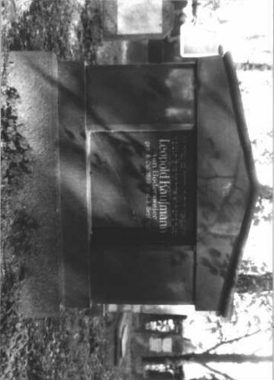 Grabstein 441 (Index: 100111733) Material: Granit Zustand: gut Maße HxBxT: 144x160x23 cm Beschreibung: ädikulaartige Stele mit breiten Pfeilern, getreppter Sockel, Giebel Symbolik: Davidstern: Grabstein 441