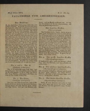 Vierf. Thiere XVI. Faulthiere und Ameisenfresser.