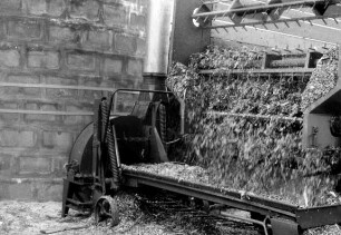 Silobefüllung Ködel und Böhm Gebläse, Mengele Wagen mit Aufbau Wildschweige