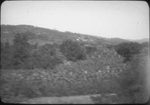 Siedlung (Lateinamerika-Aufenthalte 1934/1942)