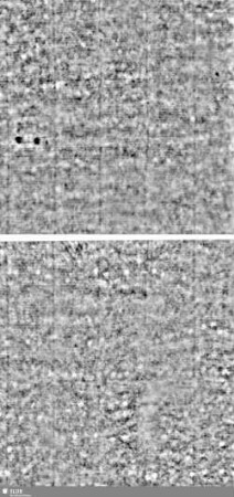 Lilienschild + IESV / LW = S.7/8+47/48