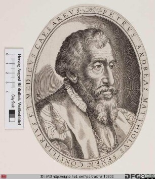 Bildnis Pietro Andrea Mattioli (lat. Matthiolus)