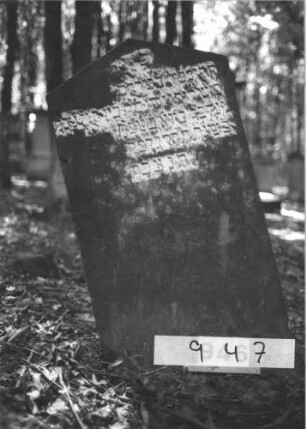 Grabstein 947 (Index: 99899463) Material: Sandstein Zustand: leicht angewittert Maße HxBxT: 109x59x12 cm Beschreibung: Stele mit Dreiecksabschluss: Grabstein 947 (1)