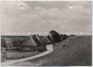 Marsch, Am Deich in Schleswig-Holstein