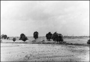Auf der Horst
