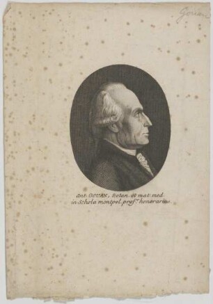 Bildnis des Ant. Gouan