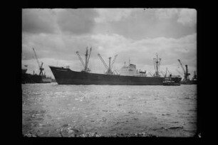 Luise Leonhardt (1953), Leonhardt & Blumberg, Leonhardt & Blumberg GmbH & Co. KG, Hamburg