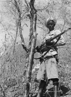 Soldat : Bewaffneter Soldat oder Milizionär