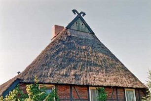 Lohe 19: traufständiges Bauernhaus aus Fachwerk mit Reetdach: Giebelseite Wohntrakt, Teilansicht: Krüppelwalm, oben Verbretterung, Eulenlöcher, Giebelzier Pferdeköpfe