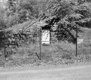 Reiskirchen, Der Buchenwald