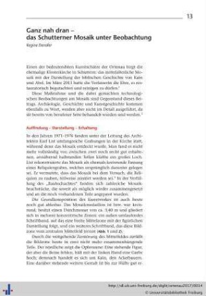 Ganz nah dran – das Schutterner Mosaik unter Beobachtung.