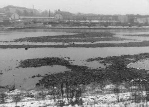Sohlbeschaffenheit bei Niedrigwasser der Staustufe Koblenz/Mosel