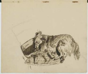Skizzenbuch F9: Tierstudie