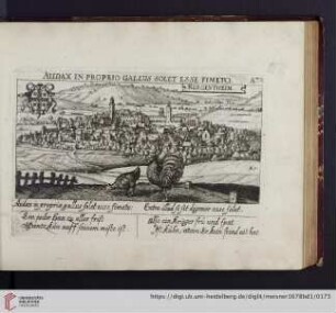 A72. Mergentheim, "Audax in proprio gallus solet esse fimeto"